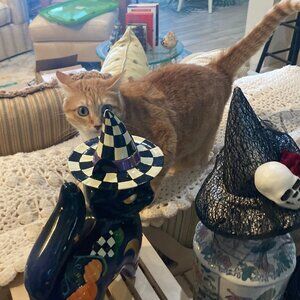 Hi! They call me Little Boo. What's your name?